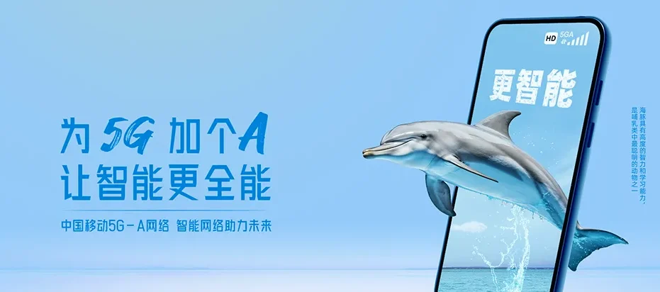 荔湾区荔湾区东漖街道 移动宽带